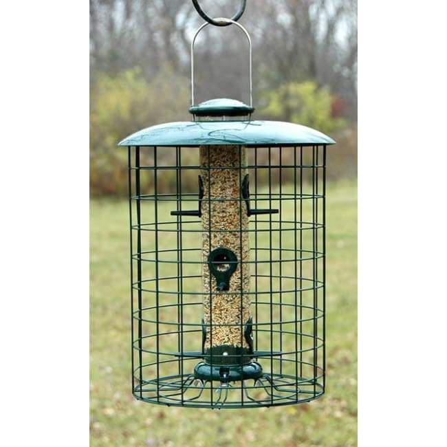 Caged Seed Tube Bird Feeder - BirdHousesAndBaths.com