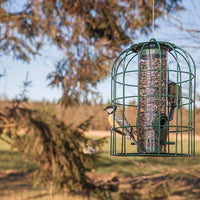 Caged Tube Bird Feeder - BirdHousesAndBaths.com