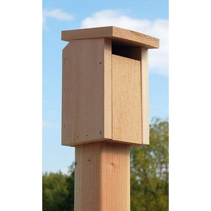 Cedar Sparrow-Resistant Bluebird House - BirdHousesAndBaths.com