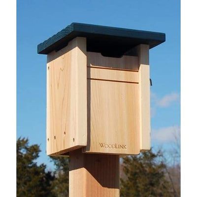 Cedar Swallow or Bluebird House with Blue Roof - BirdHousesAndBaths.com