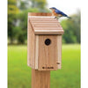 Classic Bluebird House DIY Craft Kit - BirdHousesAndBaths.com