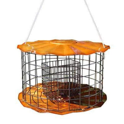 Caged Double Suet Feeder, Copper Colored - BirdHousesAndBaths.com
