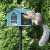 Food Pantry Squirrel Feeder - BirdHousesAndBaths.com