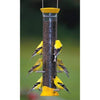 Finch Flocker Bird Feeder, 15", New Generation - BirdHousesAndBaths.com