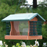 Going Green Premier Bird Feeder with Suet Cages - BirdHousesAndBaths.com