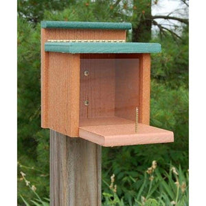 Going Green Squirrel Munch Box - BirdHousesAndBaths.com