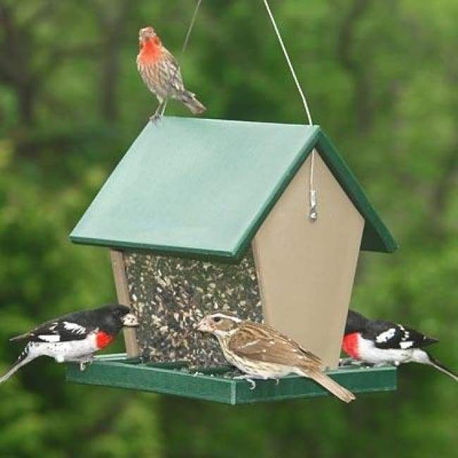 Hopper Green and Brown Bird Feeder, Medium - BirdHousesAndBaths.com
