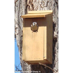 Kestrel and Screech Owl House - BirdHousesAndBaths.com