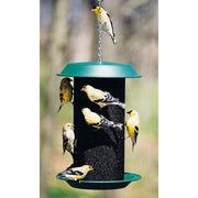 Magnum Thistle Seed Bird Feeder - BirdHousesAndBaths.com