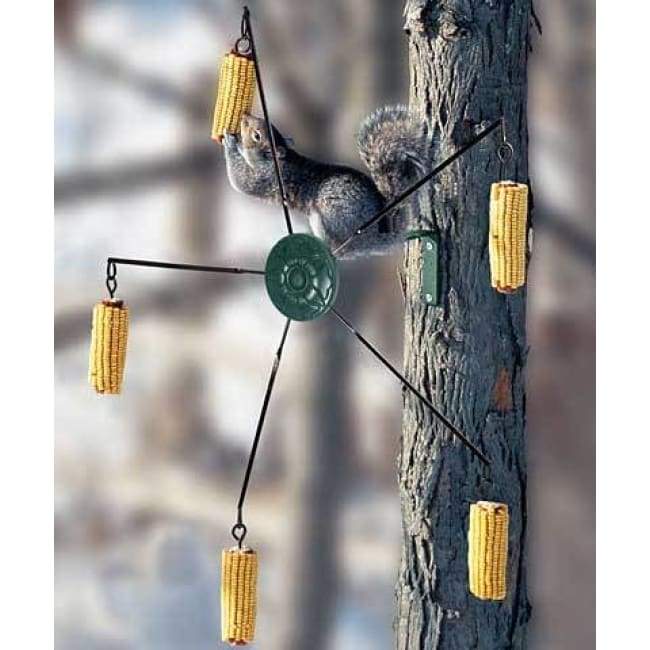Medallion Squirrel-Go-Round Feeder - BirdHousesAndBaths.com
