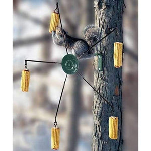 Medallion Squirrel-Go-Round Feeder - BirdHousesAndBaths.com