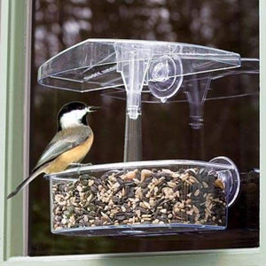 Observer Window Bird Feeder - BirdHousesAndBaths.com