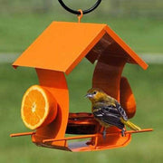 Orange Metal Six Station Oriole Feeder - BirdHousesAndBaths.com