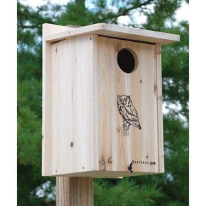 Premium Screech Owl or Kestrel House - BirdHousesAndBaths.com
