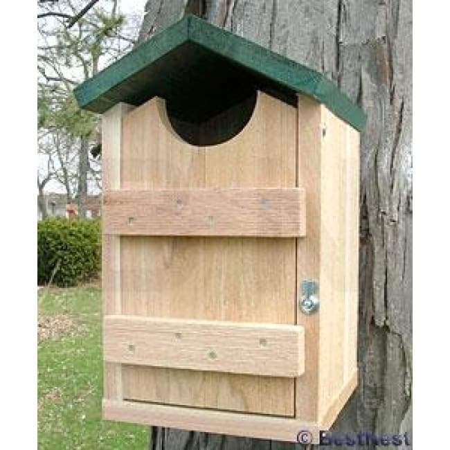 Screech Owl and Kestrel House - BirdHousesAndBaths.com