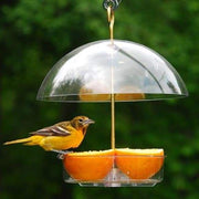 Seed Saver Domed Bird Feeder - BirdHousesAndBaths.com