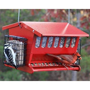 Seeds and More Double Sided Bird Feeder - BirdHousesAndBaths.com