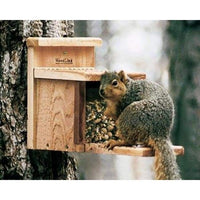 Squirrel Feeder by Woodlink - BirdHousesAndBaths.com