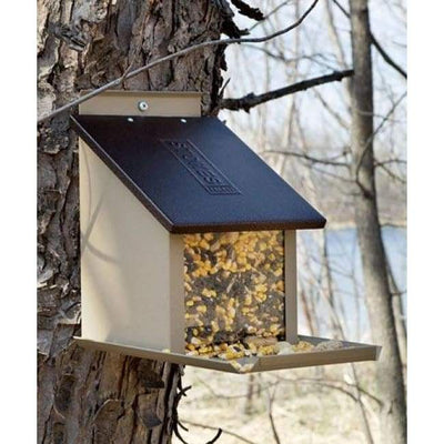 Squirrel Lunch Box - BirdHousesAndBaths.com