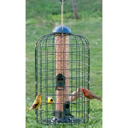 Squirrel Resistant Bird Feeder - BirdHousesAndBaths.com