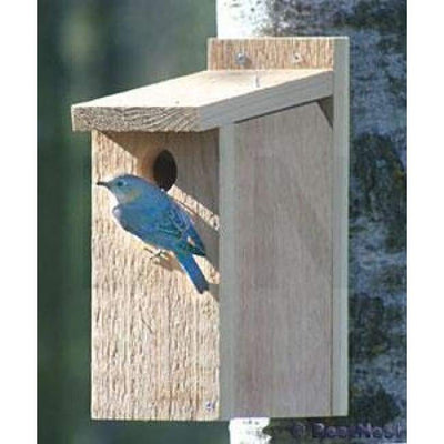 View Thru Bluebird House - BirdHousesAndBaths.com