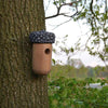 Wooden Acorn Bird House - BirdHousesAndBaths.com