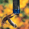 Yankee Whipper Squirrel Proof Bird Feeder - BirdHousesAndBaths.com